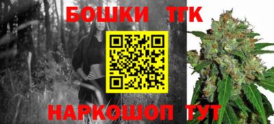 гашик Волжский