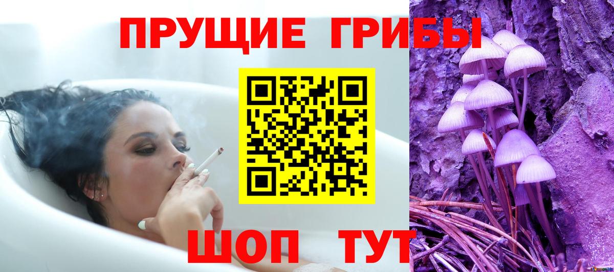 Псилоцибиновые грибы Magic Shrooms  Вход с VPN  Тутаев 